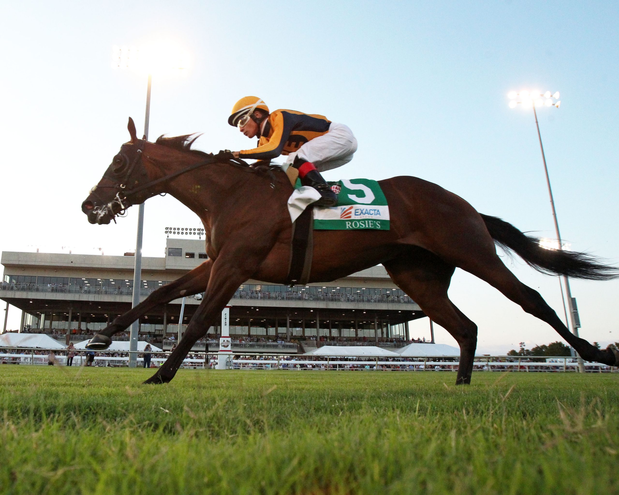 Live Racing at Colonial Downs in New Kent