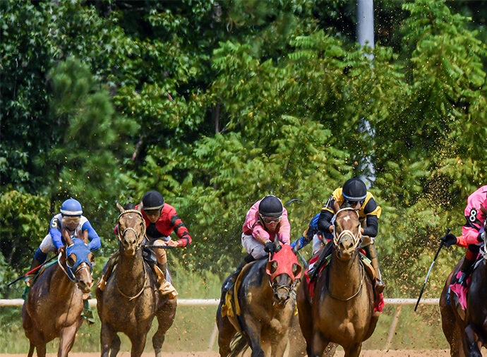 Horse Racing at Colonial Downs in New Kent