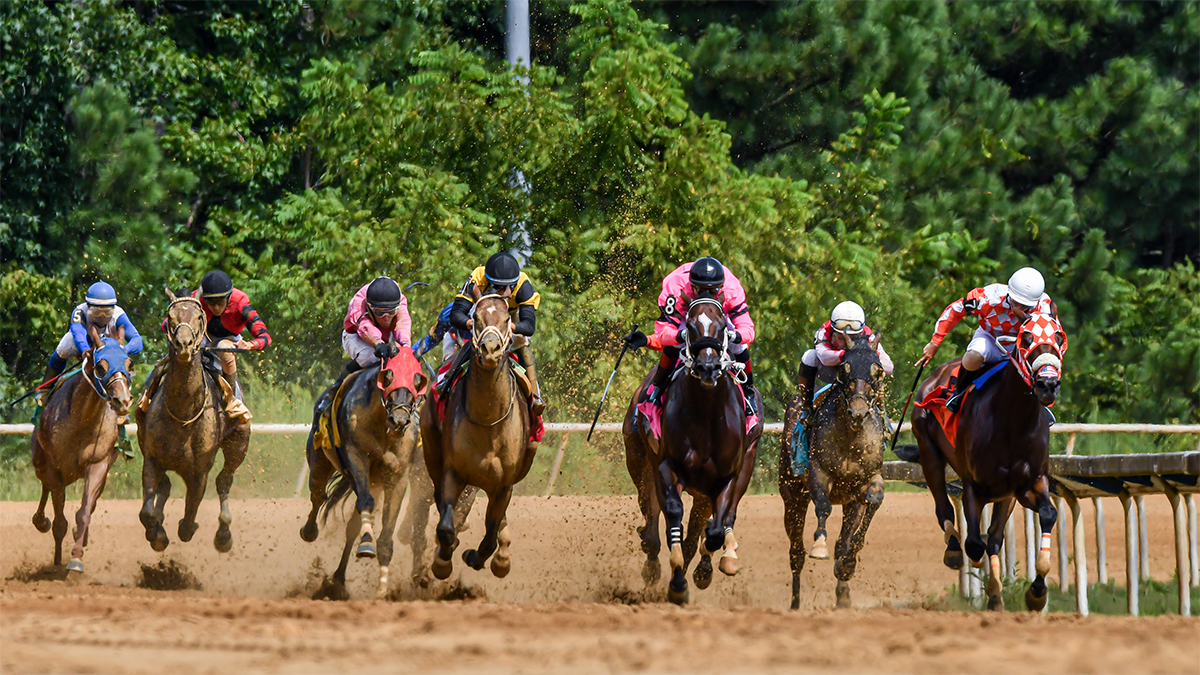 Horse Racing at Colonial Downs in New Kent