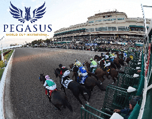 Pegasus Race