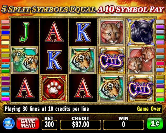 Cats Video Slots