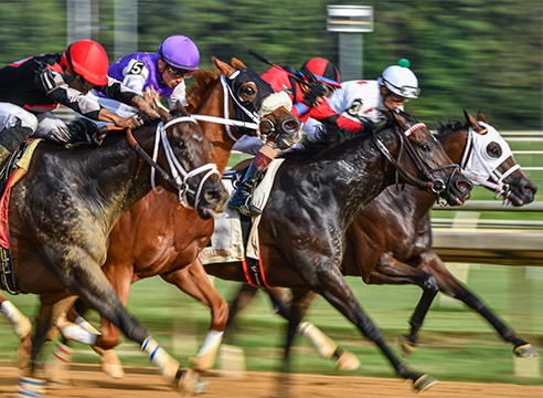 Horse Racing at Colonial Downs in New Kent