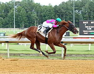 Iowa Derby Runner-Up Conagher