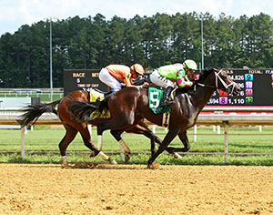 Horse racing at Colonial Downs in New Kent, VA