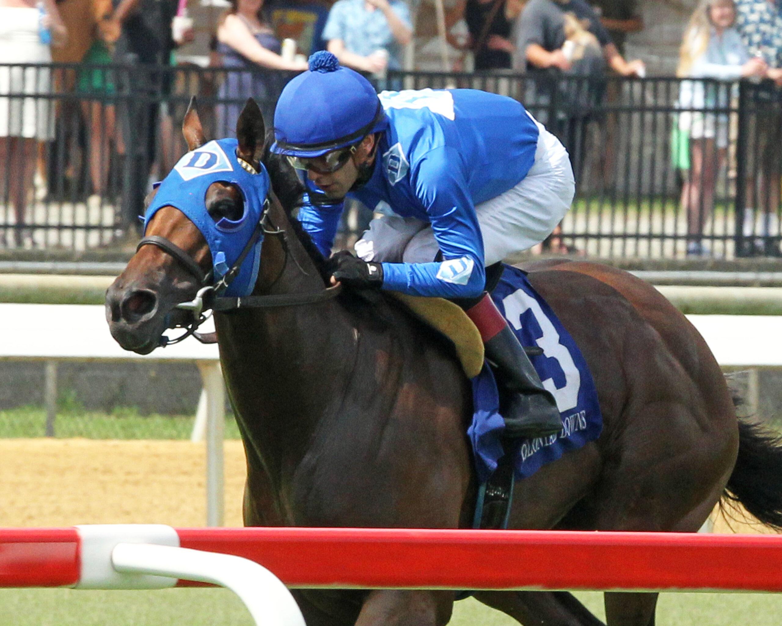 DETERMINED KINGDOM - The Punch Line Stakes - 18th Running - 07-15-23 - R05 - Colonial Downs - Inside Finish 01
