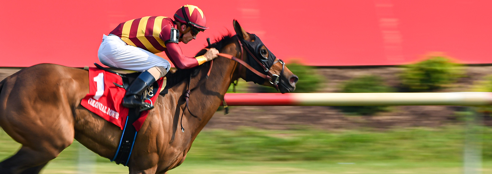 Horse Racing