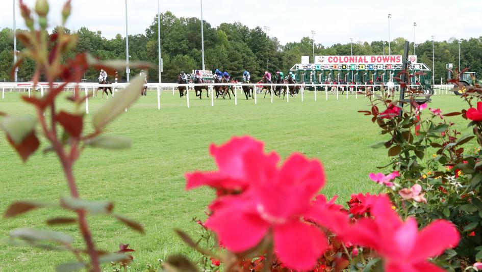 Horses race on the turf course at Colonial Downs during the 2022 racing season. The 2023 season begins July 13. (Coady Photography)