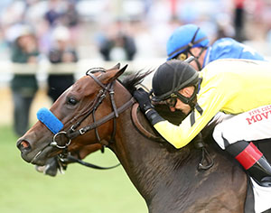 Thirty Thou Kelvin Racing at Colonial Downs in New Kent