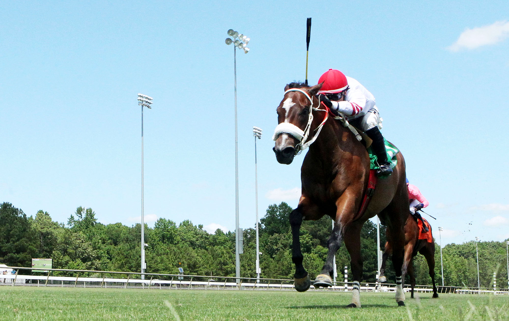 Horse racing at Colonial Downs in New Kent