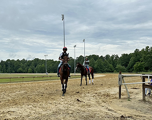 Stables at Colonial Downs in New Kent