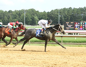 Candycrumbs horse racing at Colonial Downs in New Kent