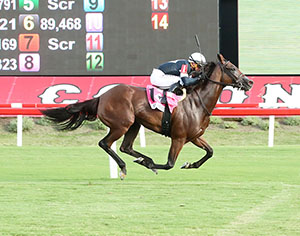 Feb Rover horse racing at Colonial Downs in New Kent