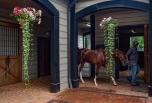 Man leading horse