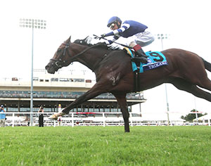 Horse racing at Colonial Downs in New Kent