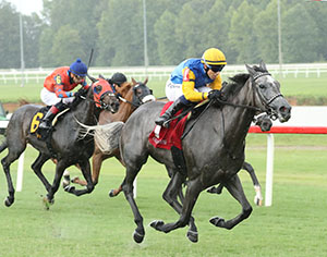 Tufani racing at Colonial Downs in New Kent