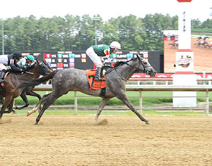 Winfinity horse racing at Colonial Downs in New Kent