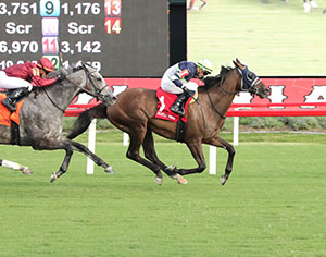 Horse racing at Colonial Downs in New Kent