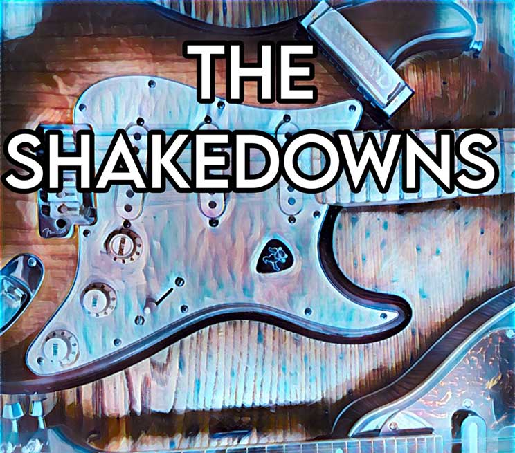 Shakedown Band - Tribute to the Grateful Dead