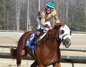 American Promise Much the Best in $500,000 Virginia Derby - Rosie's Gaming