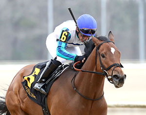 Book'em Danno horse