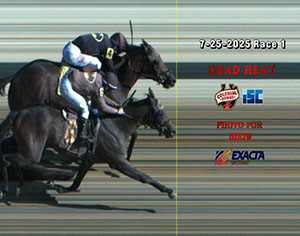 Dead heat tie for Third