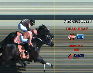 Dead heat tie for First