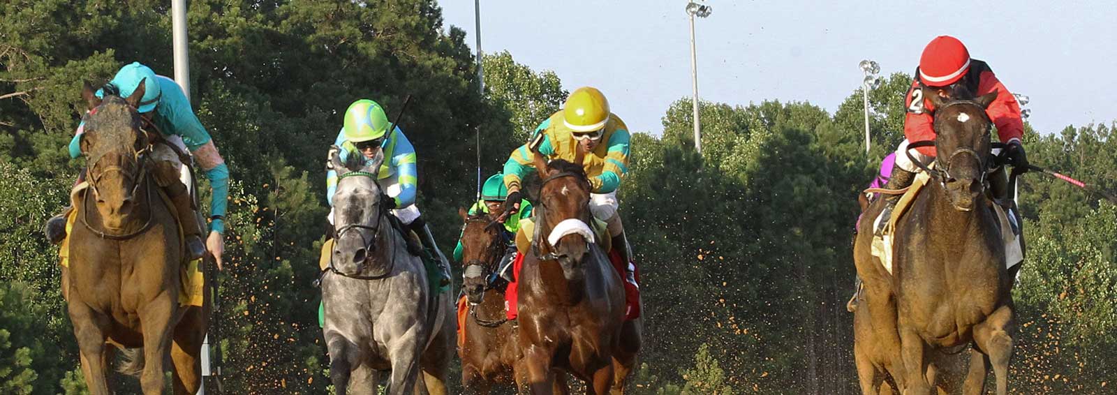 Live Racing at Colonial Downs in New Kent