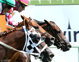 Its Witchcraft - 4000th Career Win for Mark E Casse