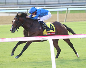 NATION'S PRIDE - The Arlington Million