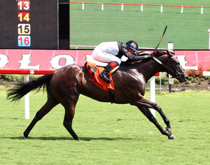 NoQuestionAboutIt - The Glenn Petty Stakes