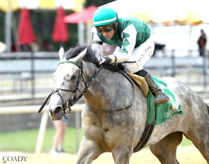 Winfinity The Miss Disco Stakes