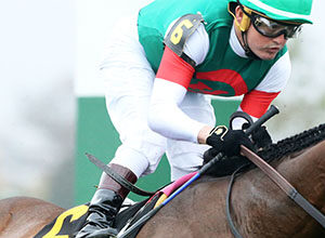 Runaway Storm winning the Grade 3 Bryan Station at Keeneland on Oct. 28, 2023 (Credit: Coady Media