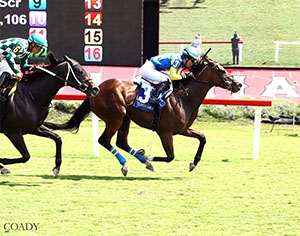 Mission North is in the clear and captures the $125,000 Find Stakes at Colonial Downs on Aug., 16, 2025 (Credit: Coady Media)