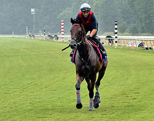 Cairo, with leading jockey Ben Curtis aboard