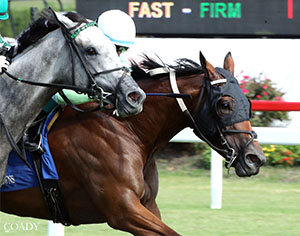 Lifelovenlaughter (#3, inside) holds off Winfinity to win the $125,000 All Brandy Stakes at Colonial Downs on Aug., 16, 2025 (Credit: Coady Media)