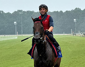 Cairo, with leading jockey Ben Curtis aboard