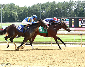 Just Philtored holds off Slewperstitus to win the Keswick Stakes on Aug. 2, 2025 at Colonial Downs (Credit: Coady Media)