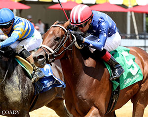 Inside finish photo -- Just Philtored holds off Slewperstitus to win the Keswick Stakes on Aug. 2, 2025 at Colonial Downs (Credit: Coady Media)