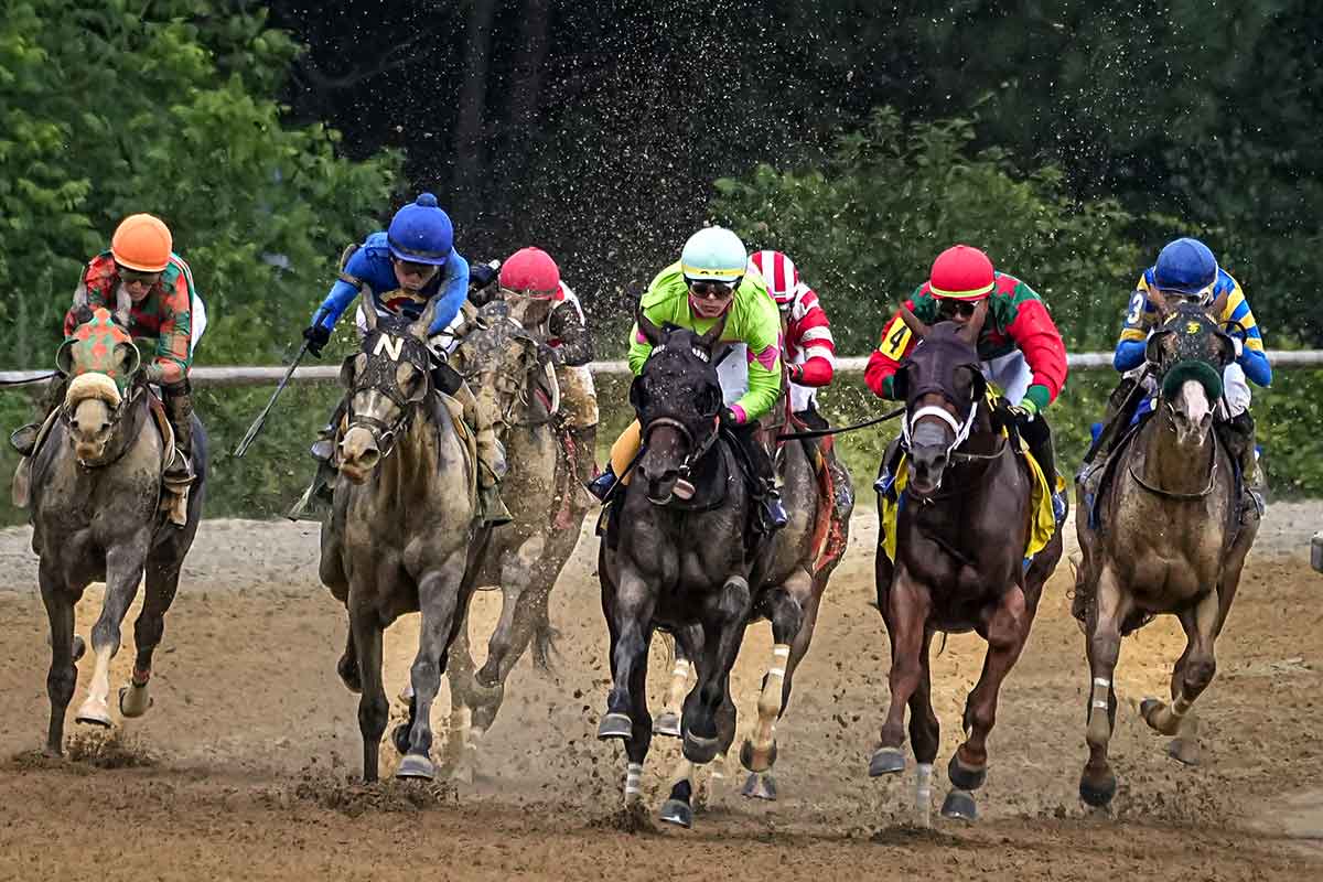 Horse racing at Colonial Downs in New Kent