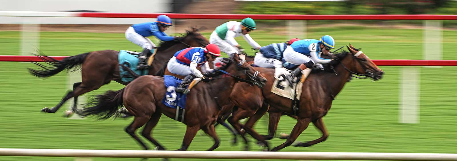 Horse racing at Colonial Downs in New Kent