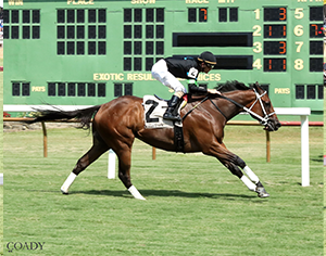 WORLD RECORD HOLDER DONCHO TO RUN IN $150,000 DA HOSS STAKES