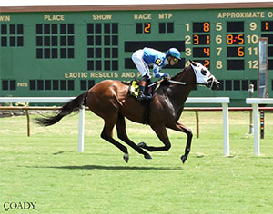 Mister Mmmmm is making his next start in the $150,000 Da Hoss Stakes on Saturday, Sept. 6 at Colonial Downs (Credit: Coady Media)