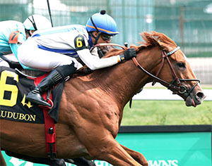 Grade 1World Beater (#6), shown winning the Audubon Stakes at Churchill Downs, is the 9-5 morning-line favorite in the Grade 3 $500,000 Old Dominion Derby on Saturday, Sept. 6 at Colonial Downs. (Credit: Coady Media)