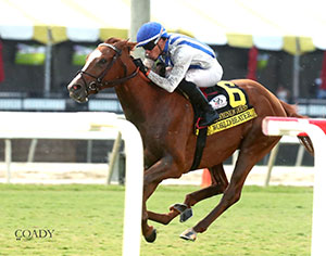 WORLD BEATER - The Old Dominion Derby- Inside Finish 01 - Renee Torbit