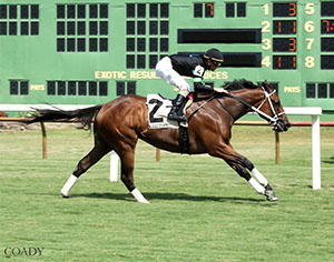 World-record holder Doncho comes to Colonial Downs for the $150,000 Da Hoss Stakes on Saturday, Sept. 6 (Credit: Coady Media)