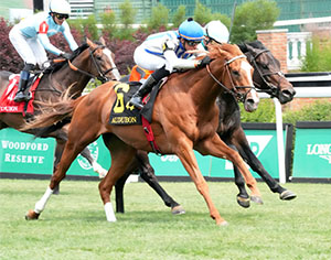 Grade 1 stakes winner World Beater, shown winning the Audubon Stakes at Churchill Downs on May 31, 2025, is the morning line favorite in the Grade 3 $500,000 Old Dominion Derby at Colonial Downs on Sept. 6, 2025 (Credit: Coady Media)