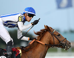 WORLD BEATER - The Old Dominion Derby- Finish 04 - Nick Phillips