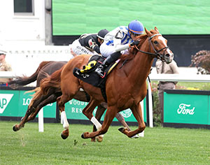 Grade 1 stakes winner World Beater, shown winning the Audubon Stakes at Churchill Downs on May 31, 2025, is the morning line favorite in the Grade 3 $500,000 Old Dominion Derby at Colonial Downs on Sept. 6, 2025 (Credit: Coady Media)