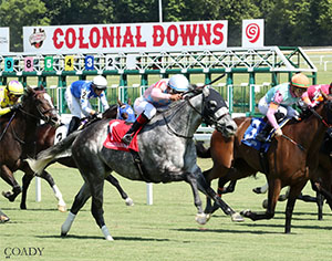Van Clief Stakes winner Witty (#1) is the morning line faovrite for the $150,000 Da Hoss, one of six turf stakes races scheduled for Saturday, Sept. 6 at Colonial Downs.