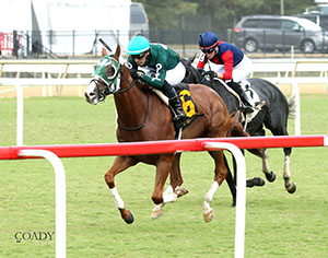 SAFE TRIP HOME - The Colonial Cup